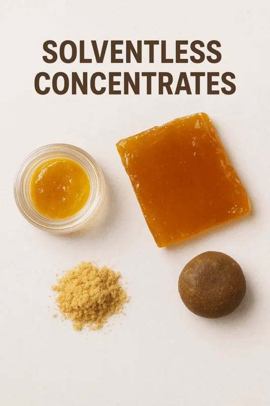 photo-2026-03-05-14-32-13