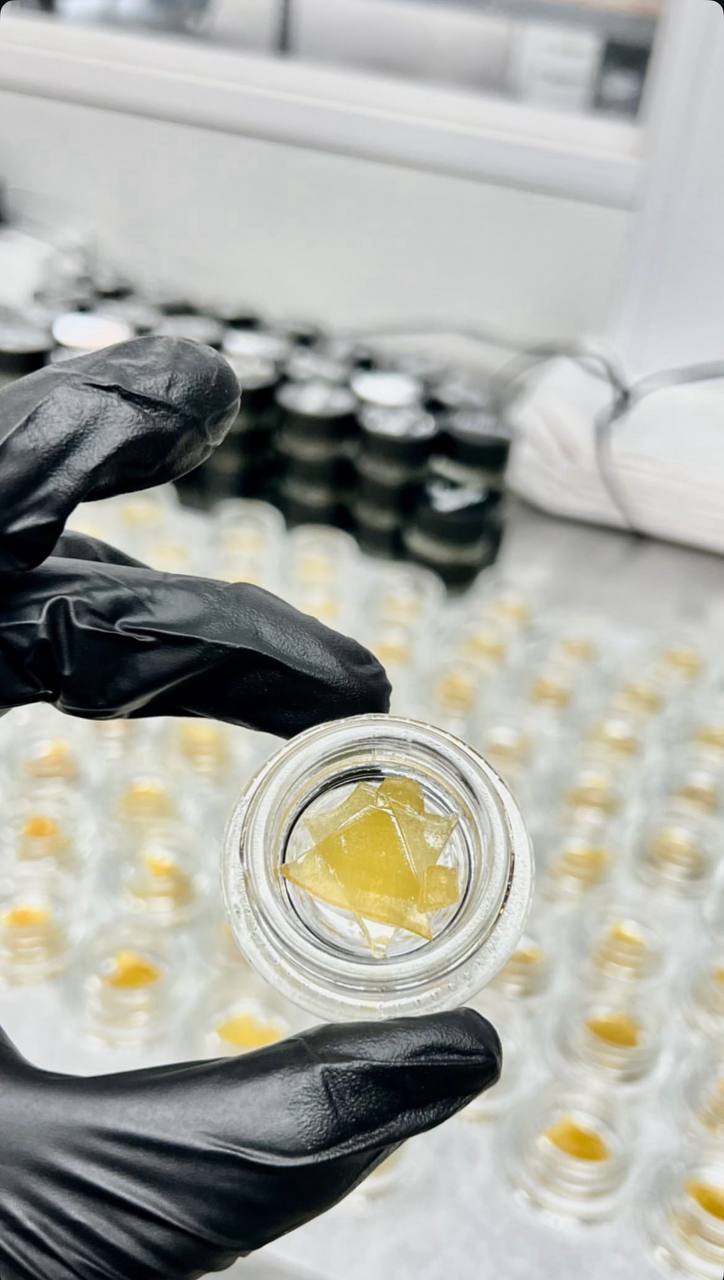 photo-6-2026-02-07-12-28-58